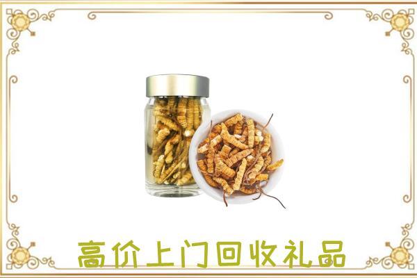济阳周边回收虫草